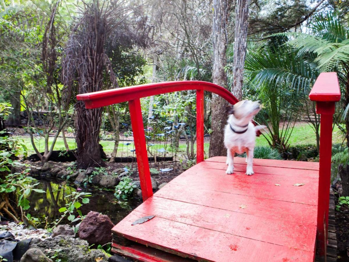 Waimoana Garden Accommodation Whangarei Bagian luar foto
